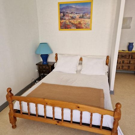 Appartement Amelie Les Bains Au Pied Des Thermes Buitenkant foto